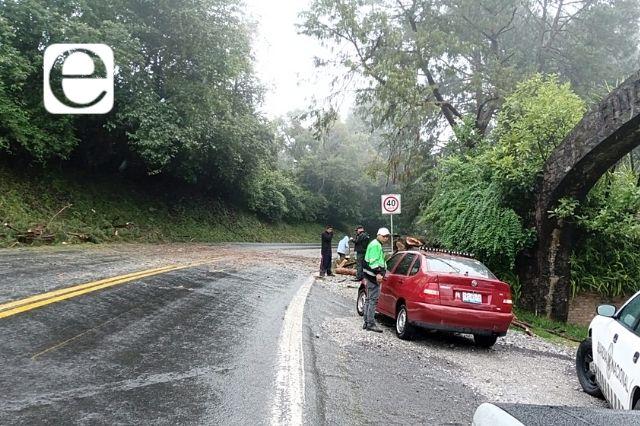 Se caen árboles en carretera por lluvias en Huauchinango