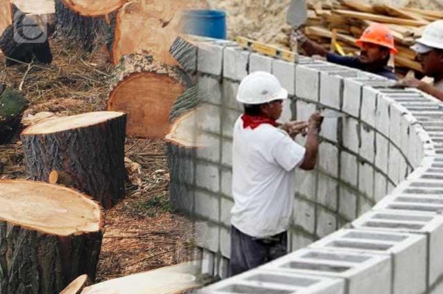 Acecha Trasierra 11 hectáreas de bosque en Puebla para fraccionamiento