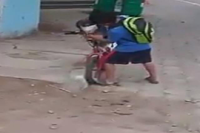 Video: Niño pone cubrebocas a su perrito para ir a la tienda
