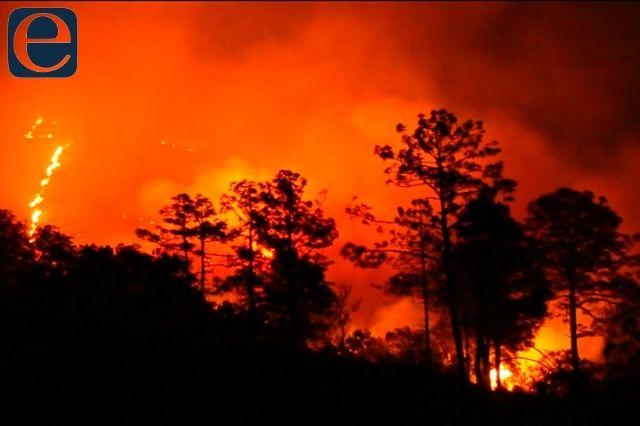 Acusan tortuguismo en atención a incendio forestal de Tetela