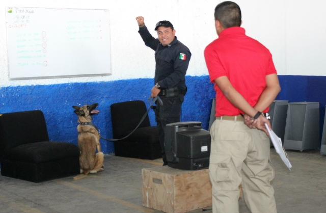 Entregan certificación Latinoamericana a unidad canina de SSPTM