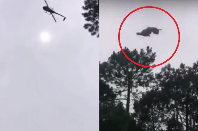 Pareja de actriz y empresario lanzan un cerdo desde su helicóptero