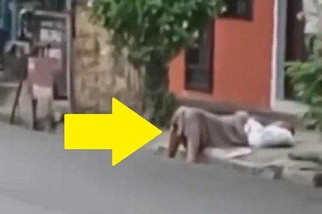 Mujer cae al suelo y nadie la auxilia por riesgo a contagio de Covid-19