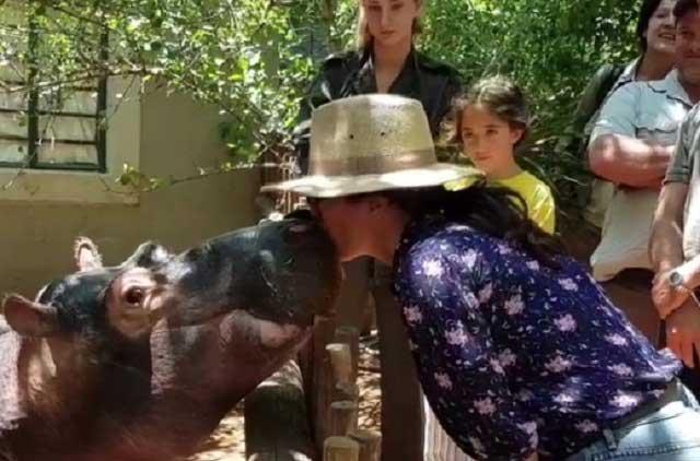 Salma Hayek besa a un hipopótamo y a su hija parece no agradarle la idea