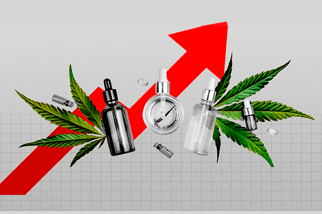 SCJN autoriza cannabis con fines industriales
