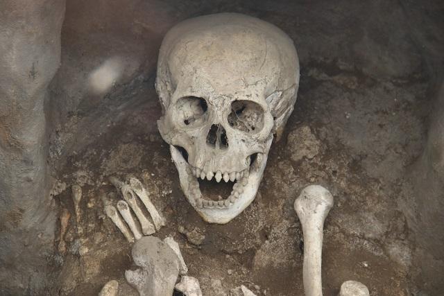 Homo bodoensis, nueva especie de ancestro humano