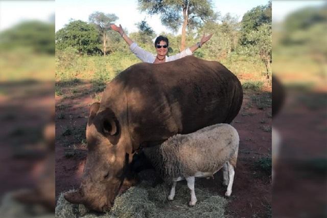 A dos años, el legado de Amy Camacho perdura en Africam Safari