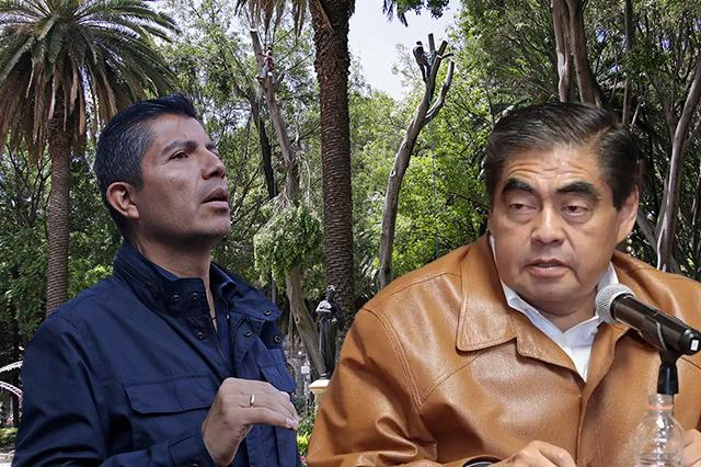 Barbosa se lanza contra Eduardo Rivera por derribo de árboles en Puebla