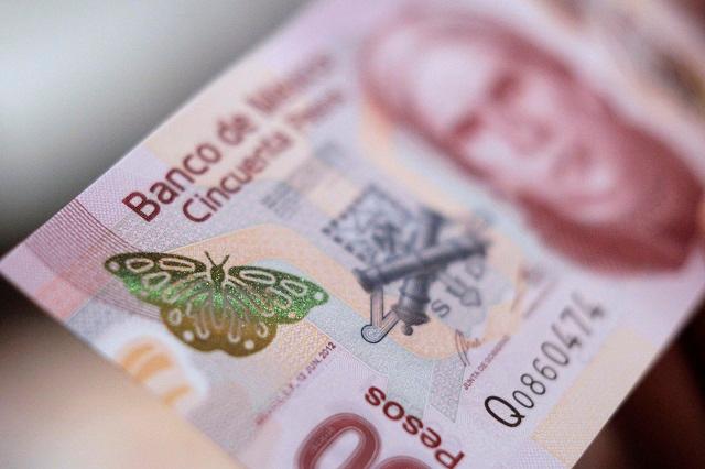 El ajolote ocupará el lugar de José María Morelos en billetes de 50 pesos