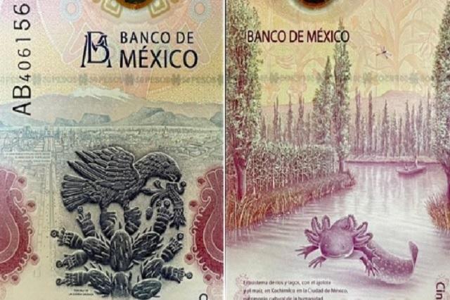 Billete mexicano de 50 pesos, el mejor del mundo