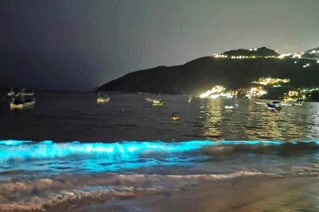 Sin turistas, así se ve la bioluminiscencia en playas de Acapulco