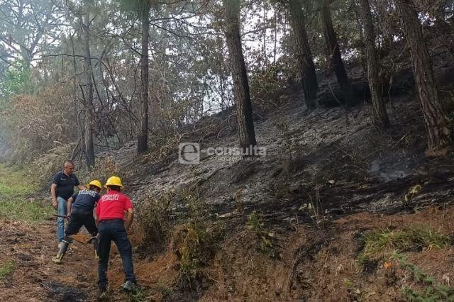 Más de mil hectáreas de bosque afectadas por incendio en Zacapoaxtla