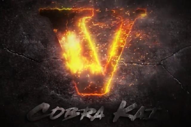 Netflix revela que Cobra Kai tendrá 5 temporada