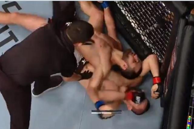 Umar Nurmagomédov desmaya a su rival en su debut con UFC