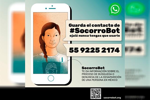 Desaparición de personas: crean bot en WhatsApp para ayudar a reportarlas