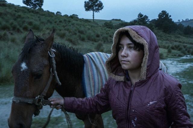 Documental filmado en Puebla gana premios en Festival de Cine de Berlín