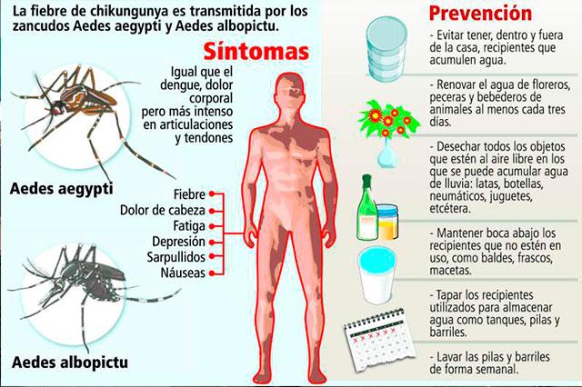 Científicos poblanos también buscan vacuna para el Chinkungunya