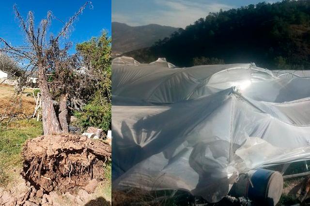 Fuertes vientos se llevan techos de 800 casas al norte de Puebla