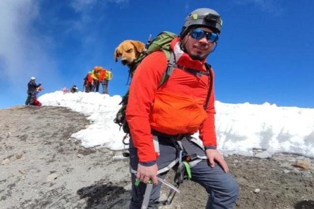 PETA reconoce a alpinista por salvar perro en la cima del Citlaltépetl