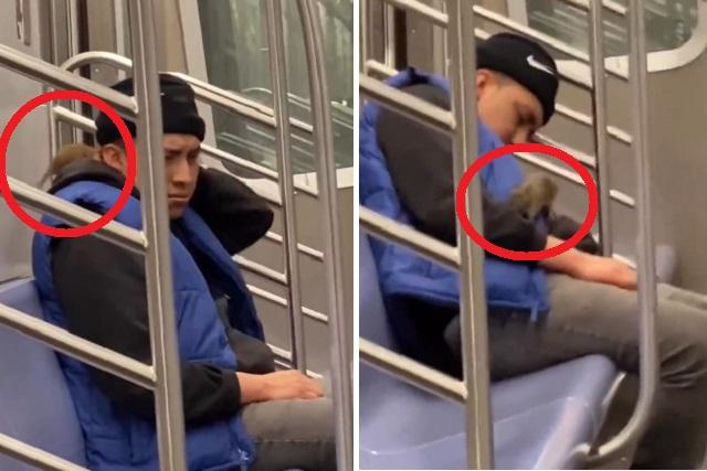 Hombre se duerme en el Metro y enorme rata se le sube hasta el cuello