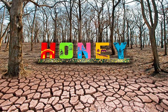 Honey, boscoso municipio de Puebla, con sequía severa: Conagua