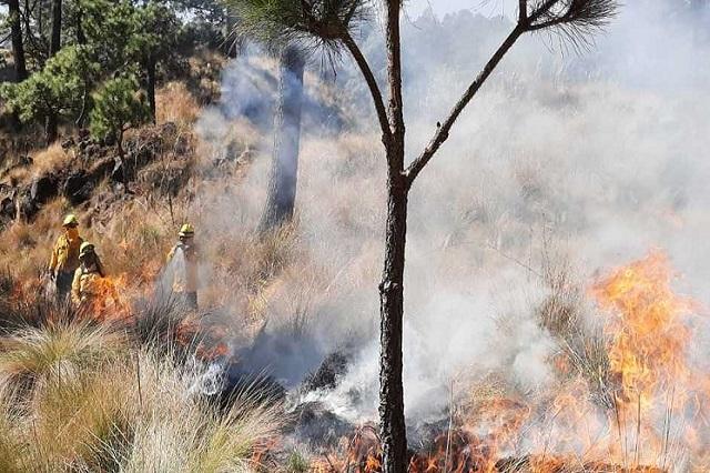 Incendio en Pico de Orizaba: prevén sequía en la zona por deforestación