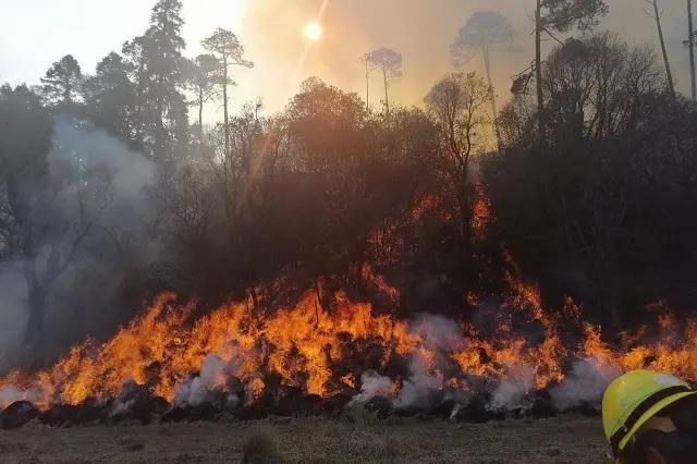 320 incendios forestales en Puebla 2022, registra Semarnat