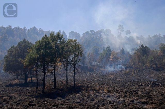 Por incendios se perdieron 50 hectáreas de bosque en Atlixco