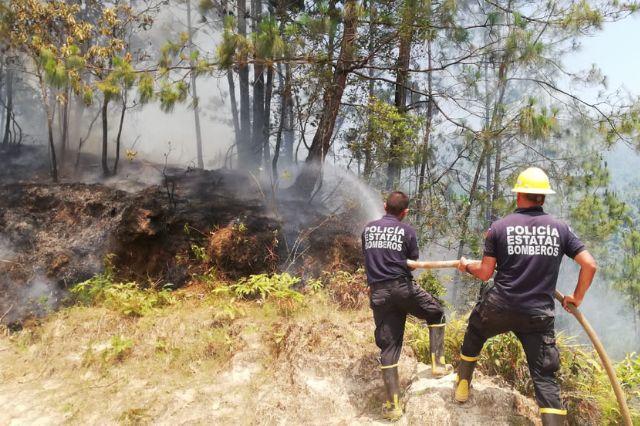 Incendios forestales afectan casi 100 hectáreas en Zacapoaxtla