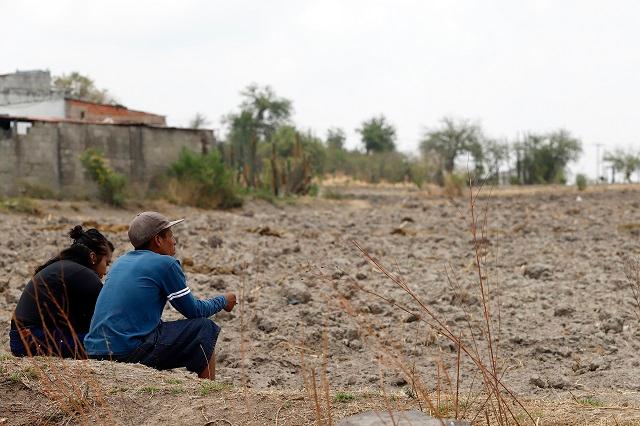 Medio Puebla padece algún grado de sequía: Conagua