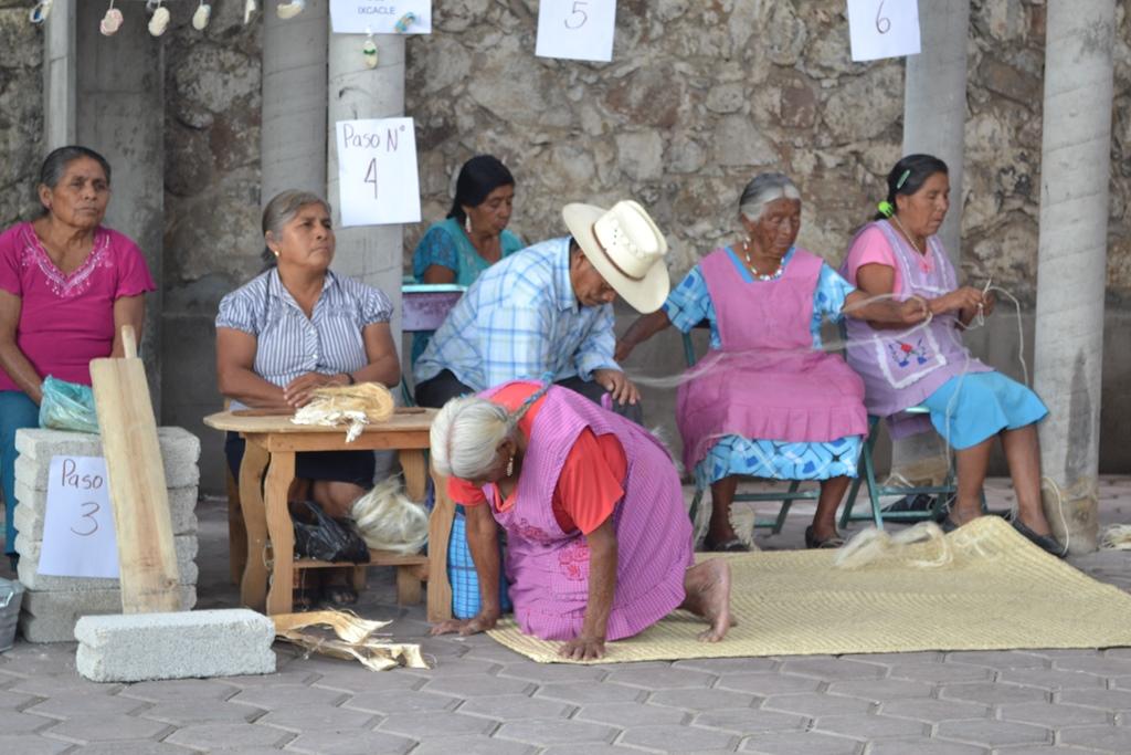 Busca Sagarpa recuperar cultivo de maguey mezcalero en Puebla