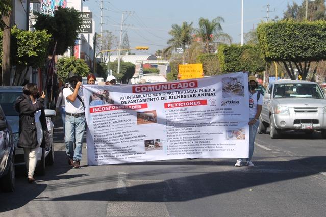 Marchan animalistas en Tehuacán, exigen a edil cumplir promesa electoral