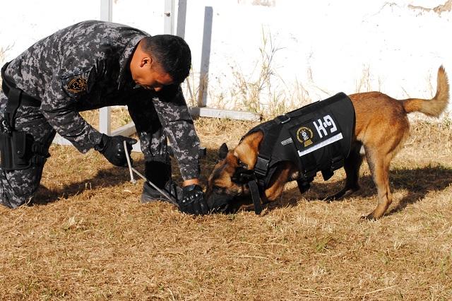 México tiene la mejor Unidad Canina antidrogas en el mundo