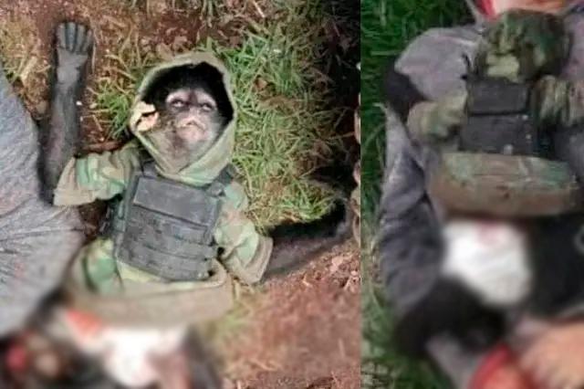 Mono vestido de sicario muere en enfrentamiento en Edomex