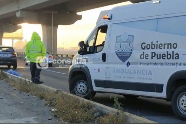 Muere atropellada en la autopista México-Puebla, a la altura de San Felipe (video)