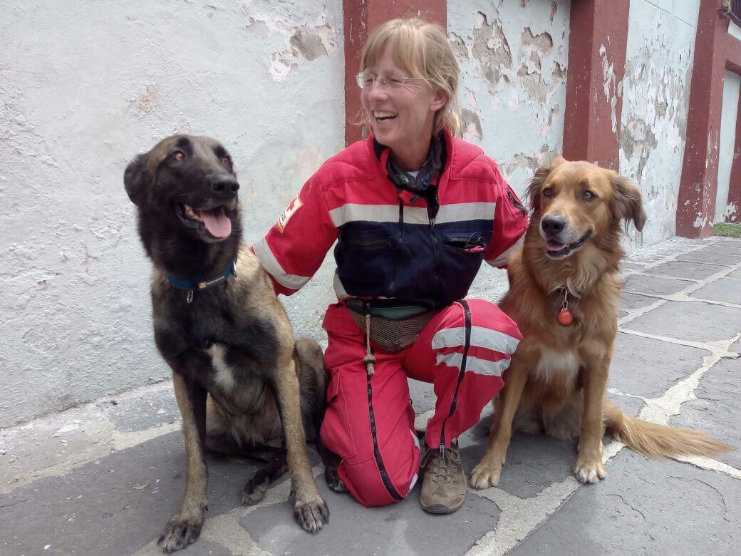 Perros rescatistas de la Cruz Roja van a CDMX a su primera contingencia