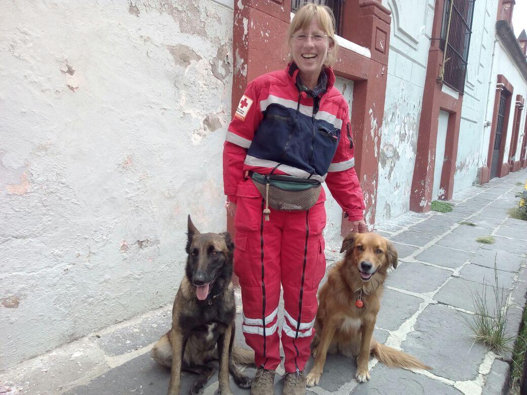 Perros rescatistas de la Cruz Roja van a CDMX a su primera contingencia