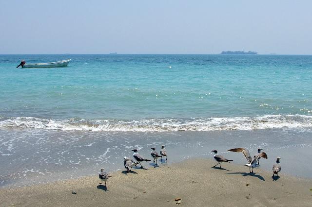 Por encierro, playas de Veracruz lucen increíble color turquesa