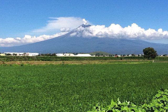 Acusan falta de apoyos para el campo en región del volcán  