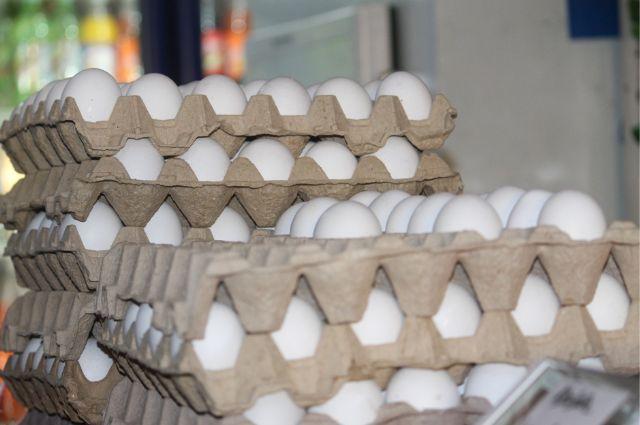 Precio del huevo: productores de Tehuacán en Puebla piden no especular