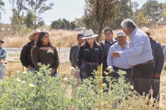 Presenta Paola Angon corredor de franjas polinizadoras para cultivos
