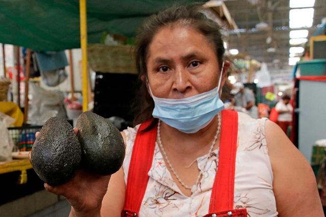 Presentan queja ambiental contra producción de aguacate mexicano