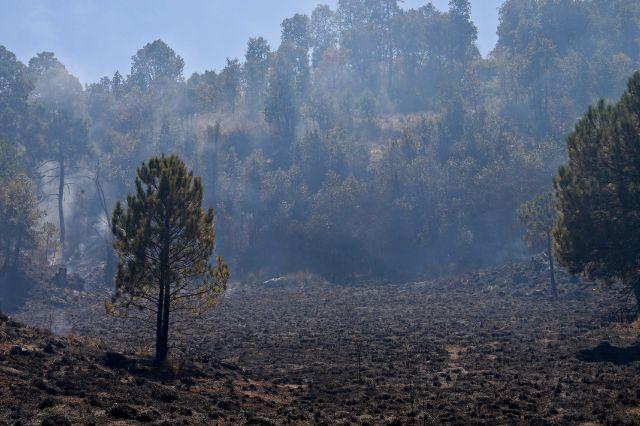 Puebla séptimo estado con más incendios forestales en México