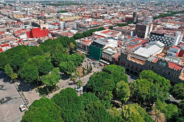 Reforestación en ciudad de Puebla iniciará próximo año