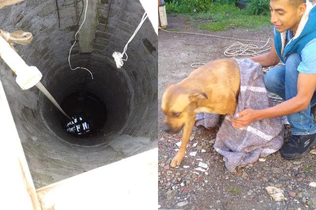 Rescatan a perro que cayó en pozo de 8 metros en Puebla