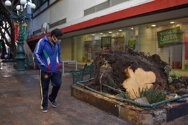 Se llamaba Santiago y tenía 12 años, fallecido por caída de árbol en Puebla