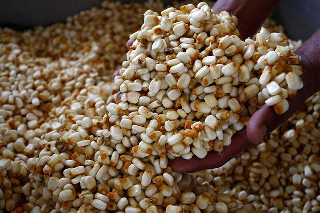 Diputados urgen a incentivar la producción de granos