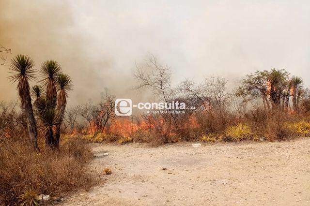Sofocan otro incendio ahora en matorrales de Coapan