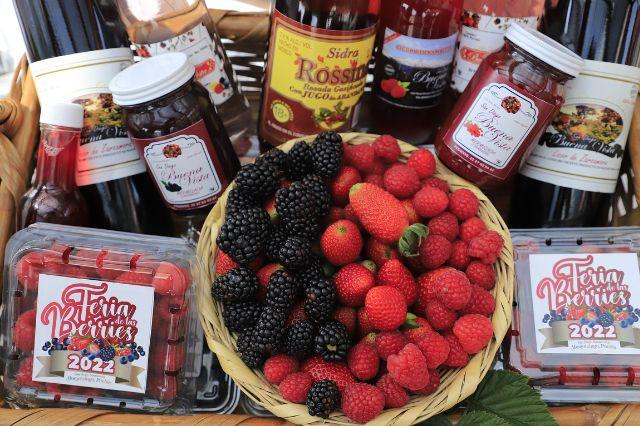 ¿Te gustan los frutos rojos?, ven a la Feria de las Berries en Puebla