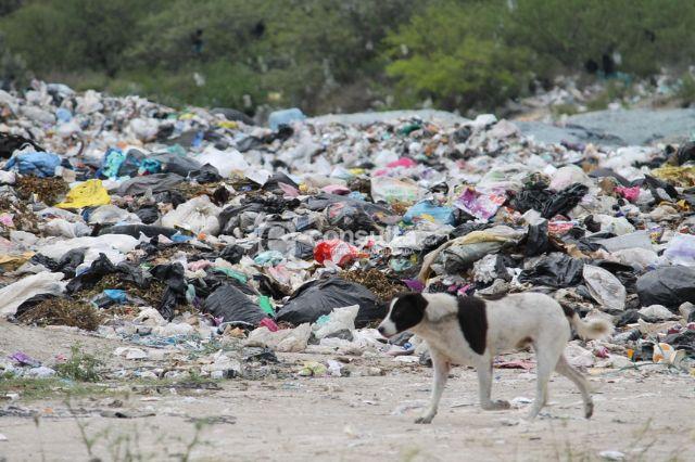 Tiran la basura de Tehuacán en Necoxtla pese a clausura de Profepa